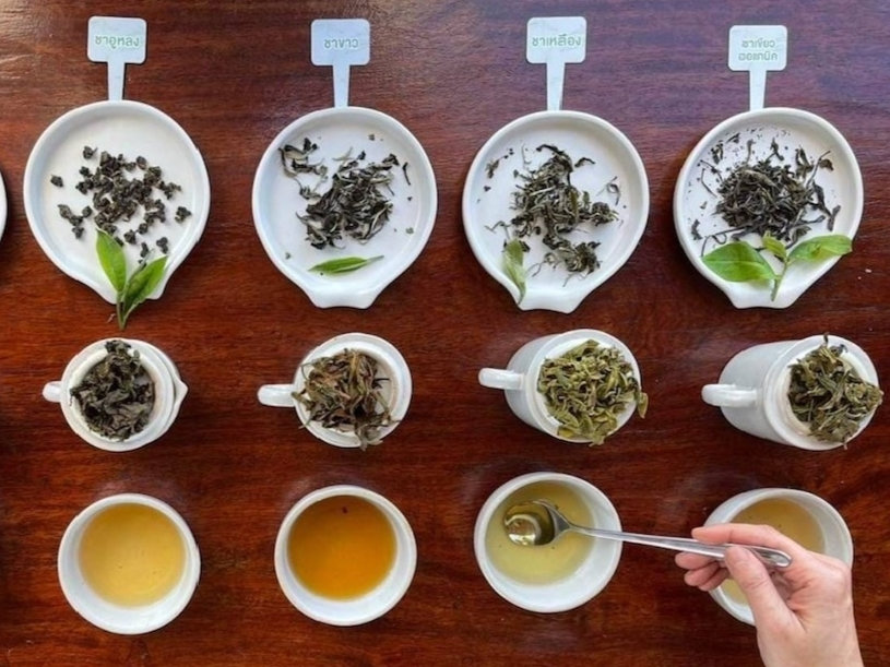 teasommelierprogramthailand